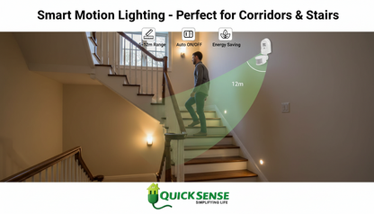 Wall Mount PIR Sensor Qs-11 B2B