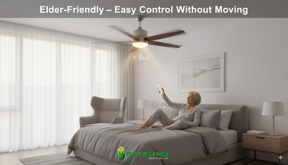 RF Controller QS-RF02 B2B