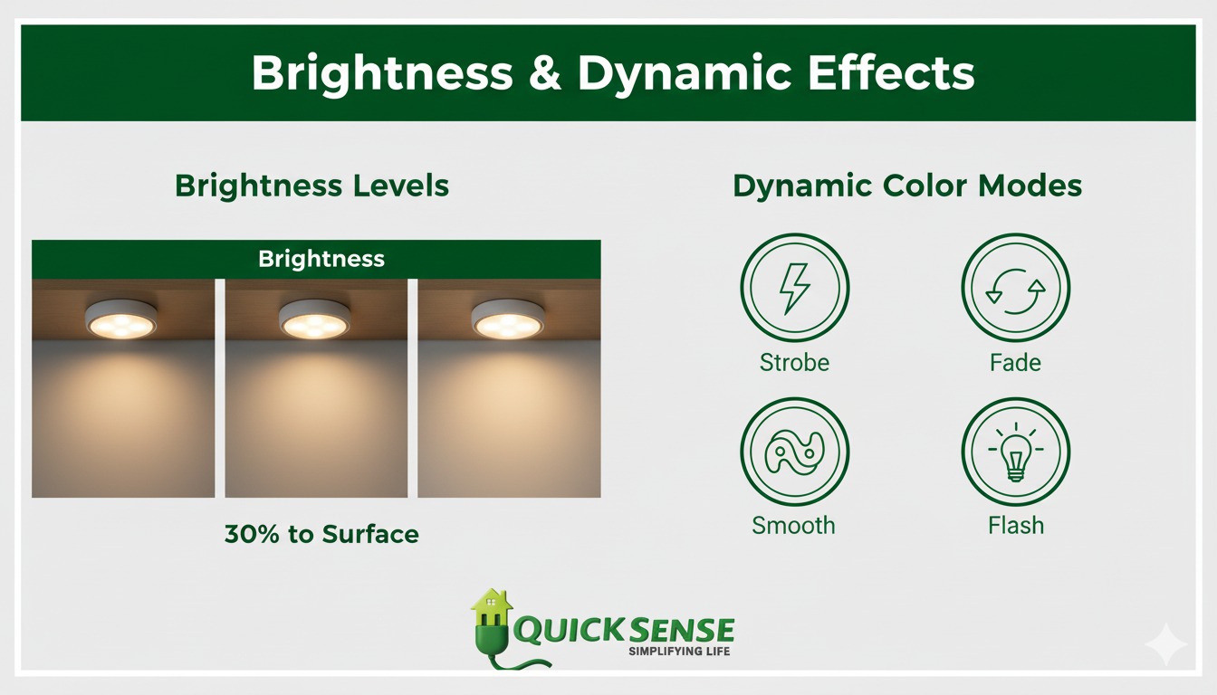 Color Changing Closet Fixture with Remote B2B