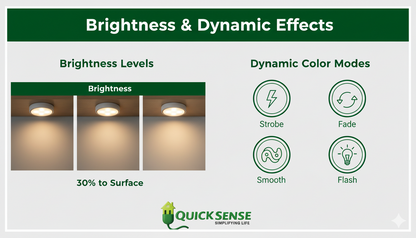 Color Changing Closet Fixture with Remote B2B